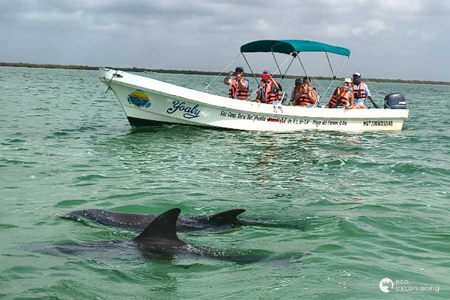 ECO - Recorrido por Holbox y Nado en las aguas de un Cenote Maya