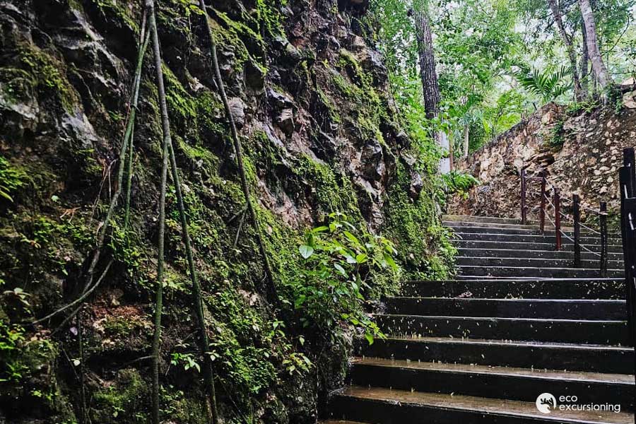 ECO - Recorrido por Holbox y Nado en las aguas de un Cenote Maya