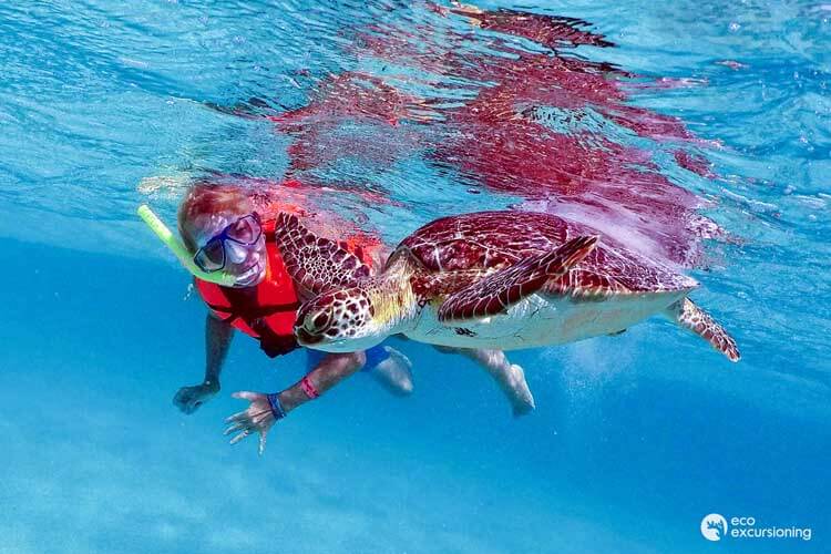 ECO - Snorkel con Tortugas Marinas en Akumal