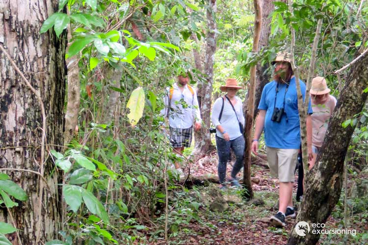 ECO - Cozumel: Naturaleza y Cultura de una Isla Maya