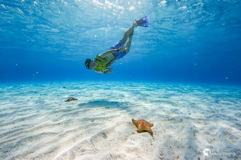 ECO - Paquete Familiar de Snorkel en Cozumel – Todo Incluido desde 4 personas